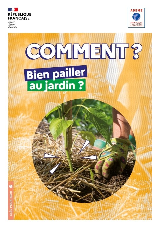 Guide Comment bien pailler au jardin ?